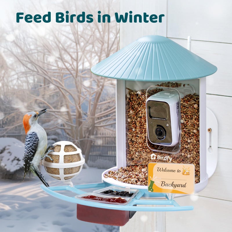 NETVUE Birdfy Pro Perch - Wider Extension Perch to DIY Add-ons Including Suet Ball, Mini Hummingbird Feeder, Fruit Holder, Jelly Feeder and Welcome Card, Ideal for Bird Lover (Blue) - Image 4